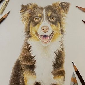 Meet your Posher, Paula